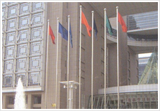 ���P����